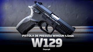 Pistola de Pressão CO2 Win Gun W129 Slide Metal 4.5mm - Review e Teste