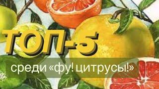 ТОП-5 ЦИТРУСОВЫХ АРОМАТОВ (и один спорный)