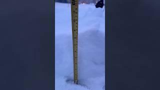 8 Inches and still snowing. 12 Inches Predicted -Kansas City Frozen