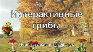 Интерактивные грибы