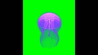 PURPLE JELLYFISH ON GREEN BACKGROUND   JBCAM TV 720p, h264