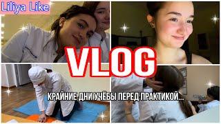 VLOG: вызвали в воспитательный отдел…