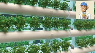 Grow Your Own Green: The Ultimate All-in-One Home Grow Solutions (2023)