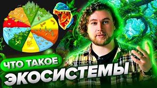 Что такое экосистема? | Просто о сложном - Сортировочная