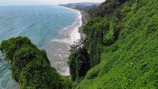 The Batumi Botanical Garden