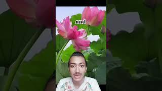 Be lotus 🪷,  #motivational #ytshorts #viralvideo #lotus #selfimprovement #selfgrowth