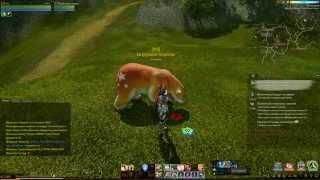 ArcheAge обзор подарка