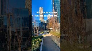 DID YOU KNOW IT?#mars #sunset #interestingfact #wowfact #crazyfacts #london #spacefacts #marsplanet
