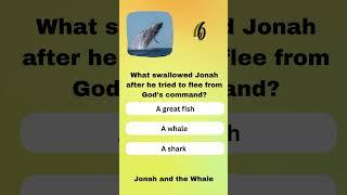Bible Trivia - Jonah and the Whale #biblestories