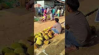 Who took the jackfruit?🫅 #funny #comedy #shortvideo