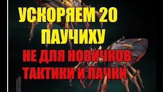 Raid SL ускоряем 20 паучиху. До 10 секунд