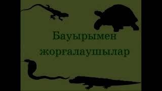 Алуан түрлі жануарлар