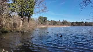 Stover Country Park (Short)