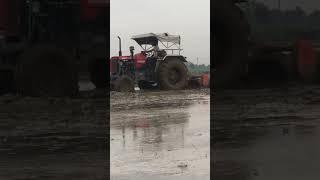 Gaam ke desi || Desi chora||Kisaan||Zamindaar ||Jaat @jaijwaanjaikisaan @jaijaat @Kisan@sumitgoswami