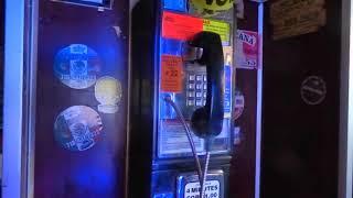 "DRINK BEER" -- The Payphone at the Soccer Tavern in Sunset Park, Brooklyn