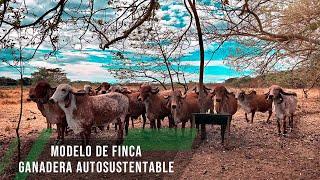 Modelo de finca ganadera autosustentable - TvAgro por Juan Gonzalo Angel Restrepo