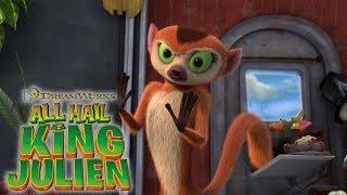 All Hail King Julien: Clover Gets Crazy Mashup | All Hail King Julien | Universal Kids