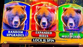 THIS IS BEAR COUNTRY!!!!!!!!!!!!!!!