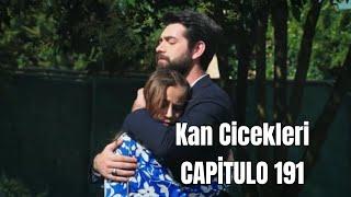 Kan Cicekleri (Flores de Sangre) Capitulo 191 - ¡Nunca dejes mis manos, Baran!