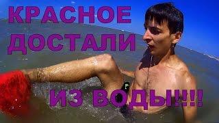 Что водится на дне морском?