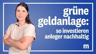 Nachhaltige ETFs: Das sollten Anleger über Greenwashing in der Geldanlage wissen | manager magazin