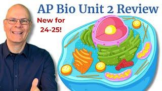 Everything you need to Crush AP Bio Unit 2: Cell Structure and Function
