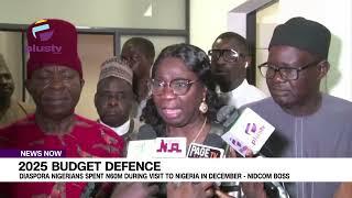 Budget Defence:  Diaspora Nigerians Spent N60m During Visit To Nigeria In December   NIDCOM