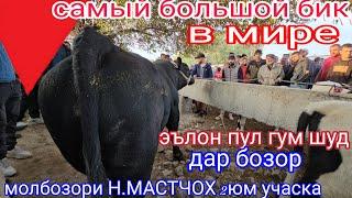 молбозори Н.МАСТЧОХ 2юм учаска эълон