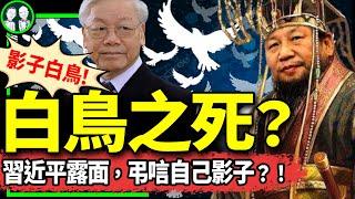 影子白鳥阮富仲死在第三任期！習首度露面弔唁越共總書記，靈異巧合！軍隊接管新京報？（老北京茶館/第1201集/2024/07/20）