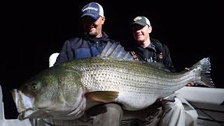 Back Water to Big Water - Striped Bass Fishing with Capt. Jack Sprengel