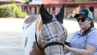 Fly Mask with Ears and Removable Nose