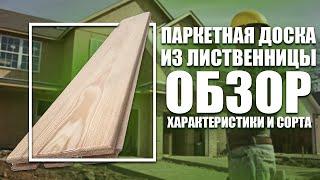 Паркетная доска из лиственницы: обзор, характеристики и сорта.