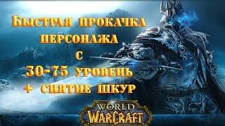 Прокачка персонажа+снятие шкур в World of Warcraft