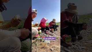 Here’s the secret behind China’s giant, super-sweet watermelons.  #delicius #food #fyp #foryou