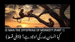 Is Man the Offspring of Monkey| Fossil Evidence