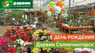 День Рождения Дарвин Солнечногорск, 11 июля 2020 года