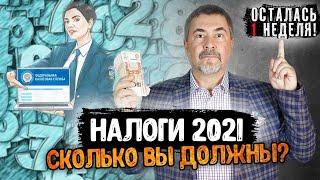 Час расплаты: какие налоги вы обязаны заплатить до декабря и как это сделать