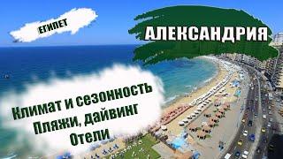 ЕГИПЕТ| АЛЕКСАНДРИЯ. Климат, сезонность. Лучшие пляжи, дайвинг.  Отели Alexandria