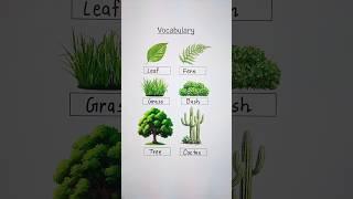 Vocabulary  #english #education #grammar #englishtips