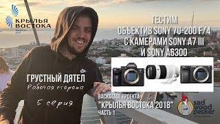 РАБОЧАЯ СТОРОНА 5. Sony a7iii и Sony a6300 с объективом Sony 70-200 f/4. Крылья Востока 2018 ч.1