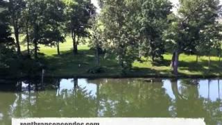 Holiday Hills Resort Luxury Condo For Rent In Branson, MO