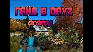 Гайд в DayZ. Как построить огород?