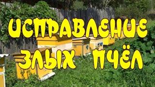 ГЕНИАЛЬНО И ПРОСТО!!! Как исправить злой улей. (BRILLIANT AND SIMPLE!!! How to fix the evil hive.)