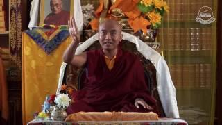 Meditation in Daily Life by Yongey Mingyur Rinpoche at LTWA on 16th December 2016