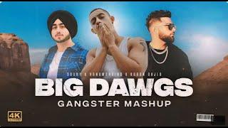 Big Dawgs Mashup | HK Lofi Mashup | Hanumankind | Big Dawgs X Karan Aujla |  Mashup 2024