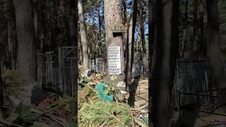 Каждый год одно и тоже.В прошлом году звонила, и служба все убрала. В этом все повторилось #кладбище