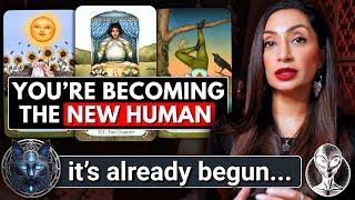 This Is What You Are Becoming Now ⋆︎˚｡⋆