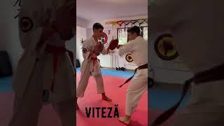 HIKARU BACĂU | Karate Isshinryu