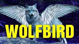 WOLFBIRD!!