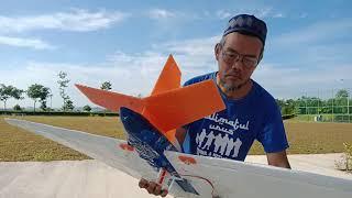 Delta wing...failed miden flight